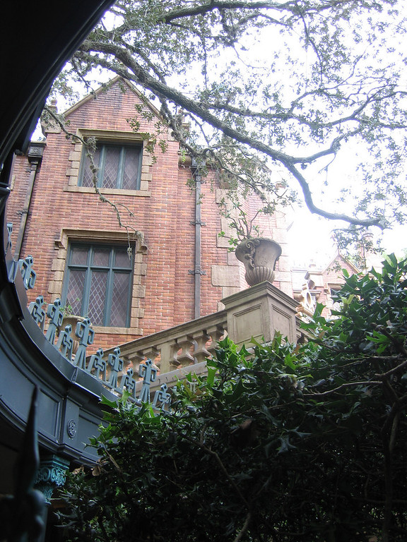 WDW%20126-XL.jpg