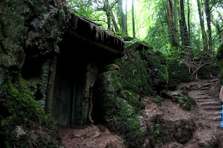puzzlewood.jpg