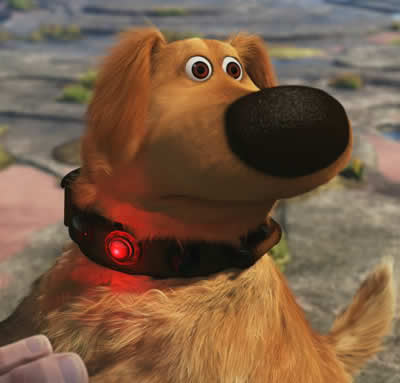 squirrel-dog.jpg