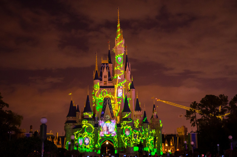 DSC1699-L.jpg