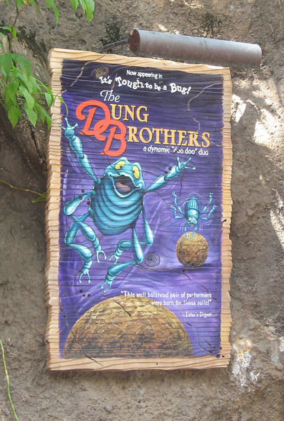 WDW%20056-L.jpg