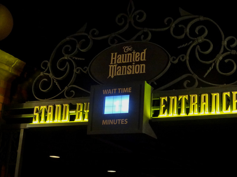 DSC01919-L.jpg