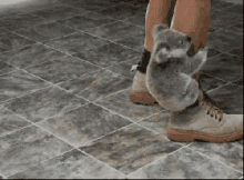 Image result for animal hugs gif