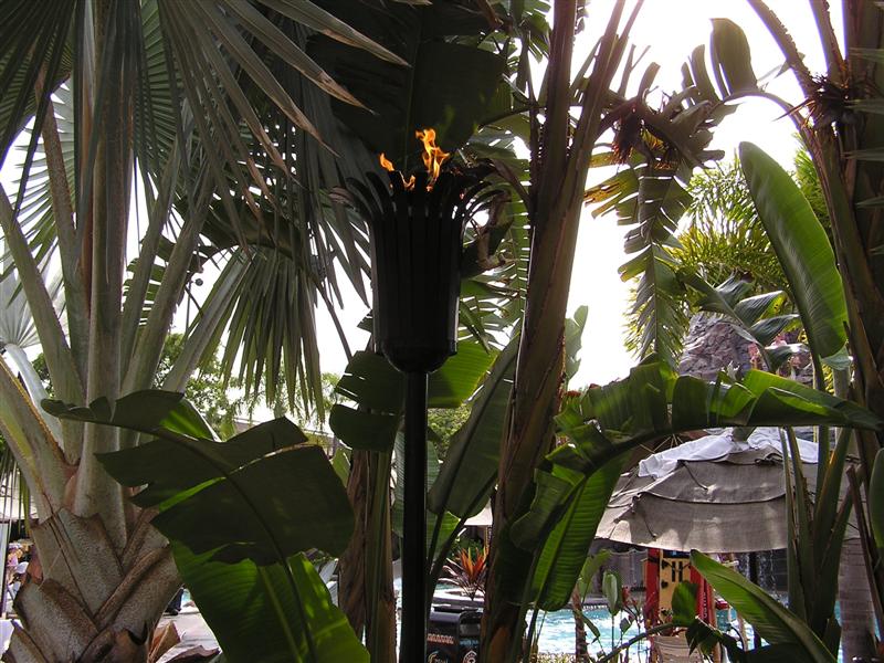 P1010014.jpg