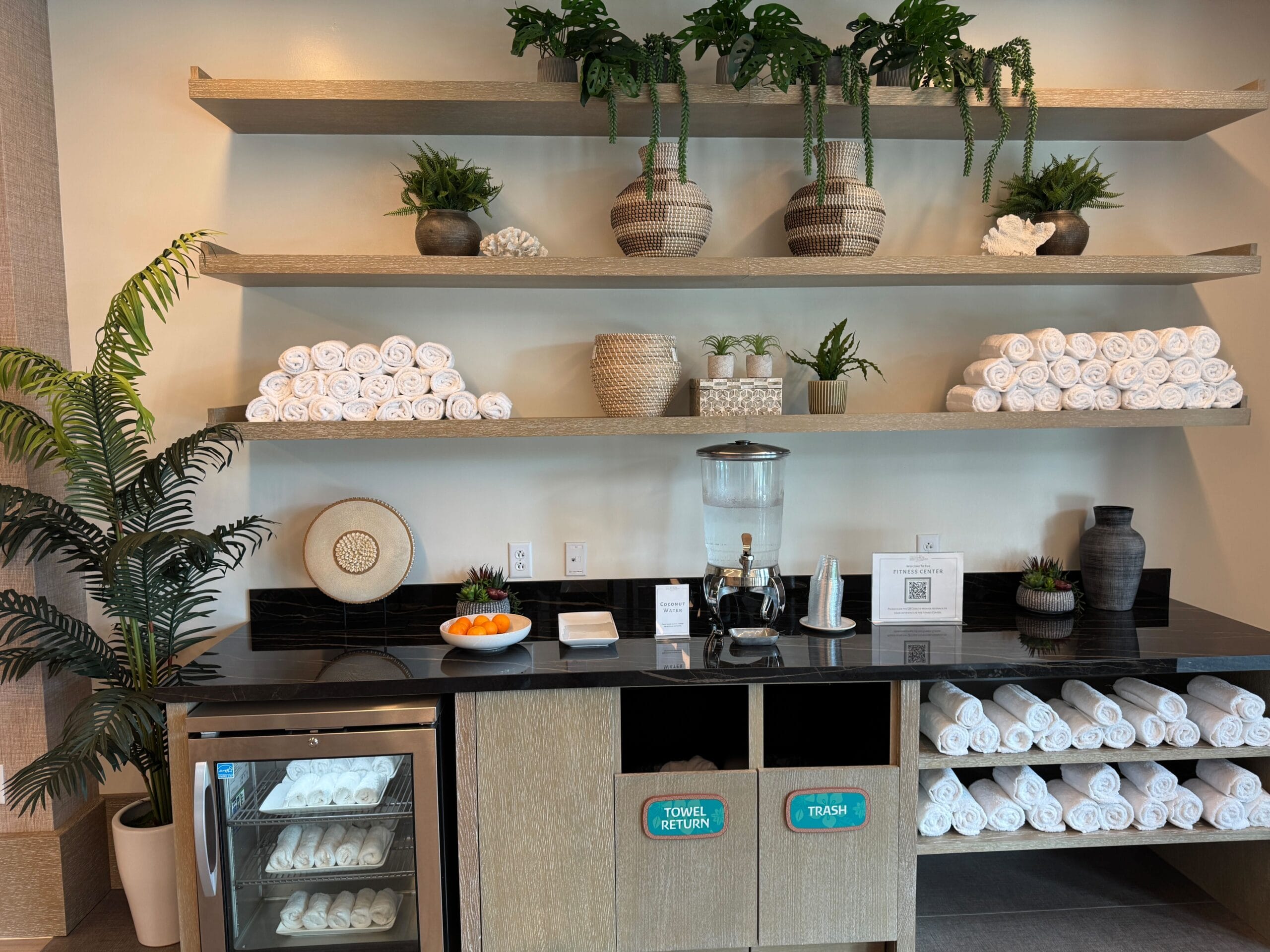 Spa-like area with rolled towels, water dispenser, fruit plate, and plants. Shelves contain decorative items. Towel return and trash bins are visible below the counter.