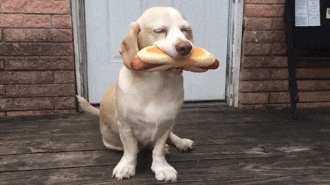 tumblr_o1am4xNc071v5h5who1_500.gif