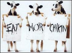 eat_more_chicken.jpg