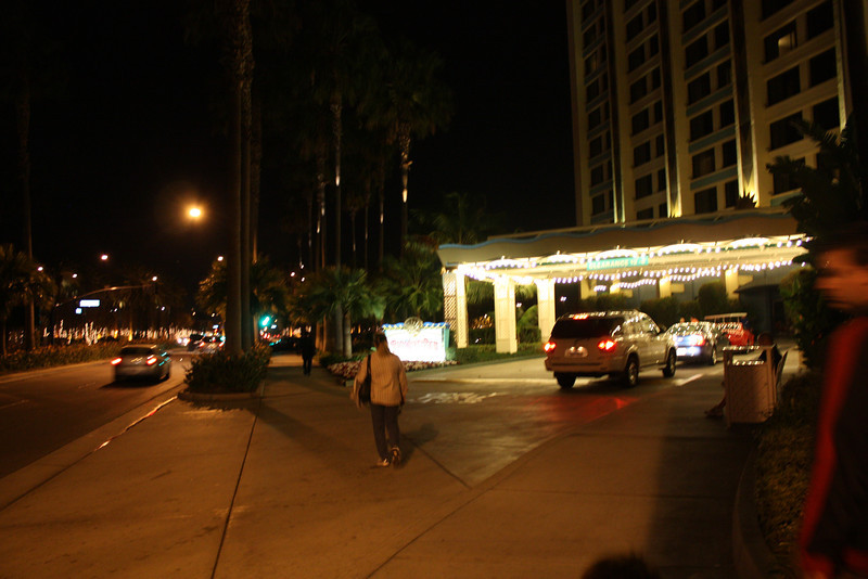 IMG9696-L.jpg