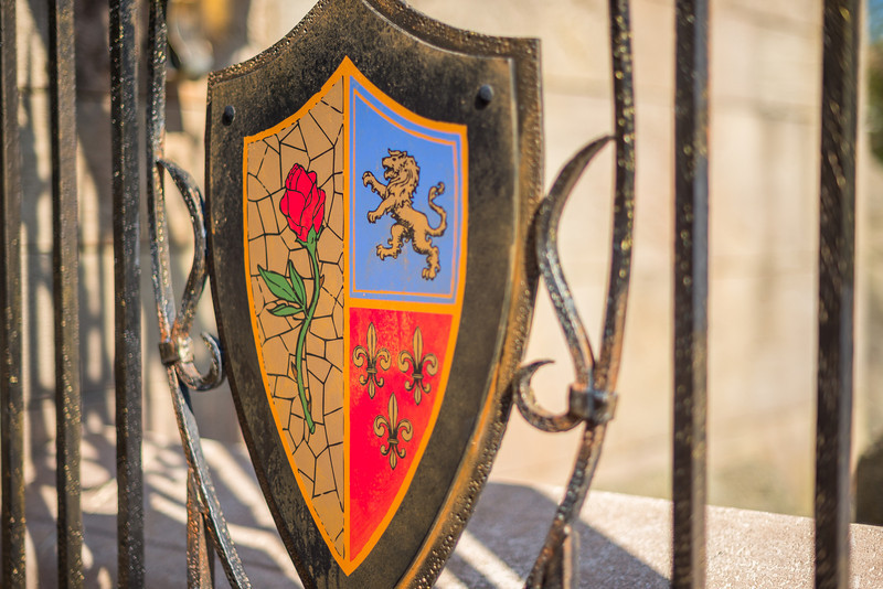 DSC_5710-L.jpg