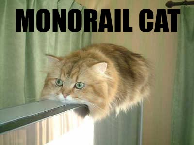 monorail-cat.jpg