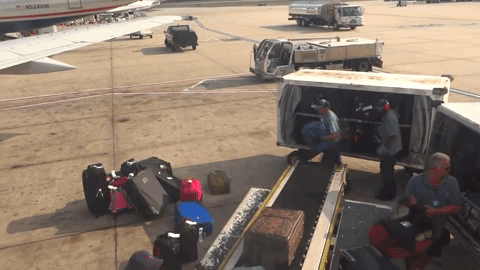 Port Canaveral: A Lost Luggage Story