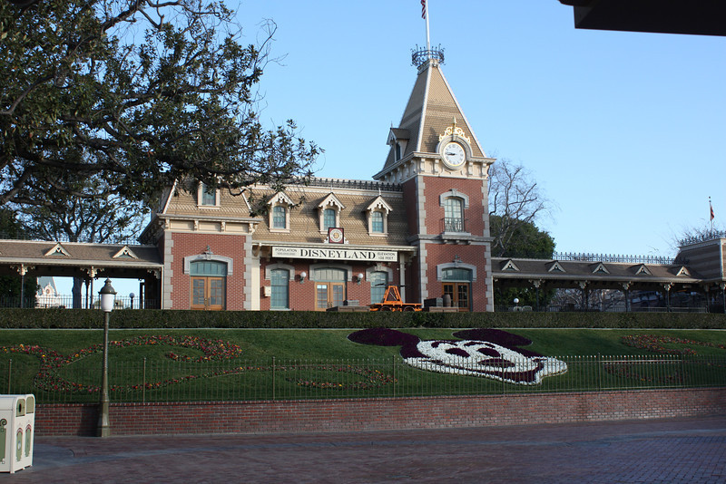 IMG9134-L.jpg