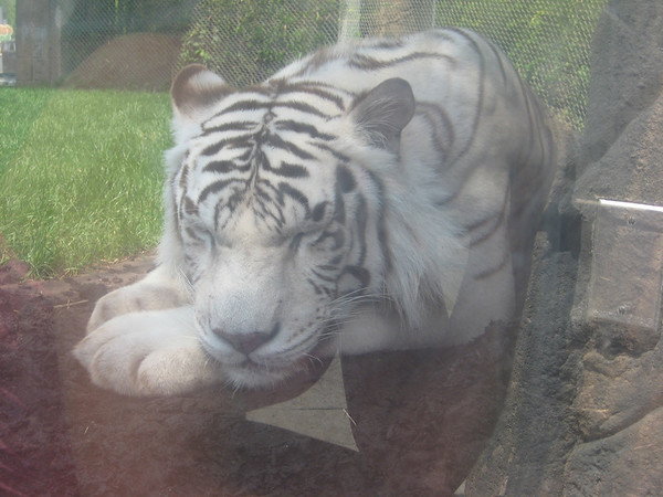579229464_cCJdk-M.jpg