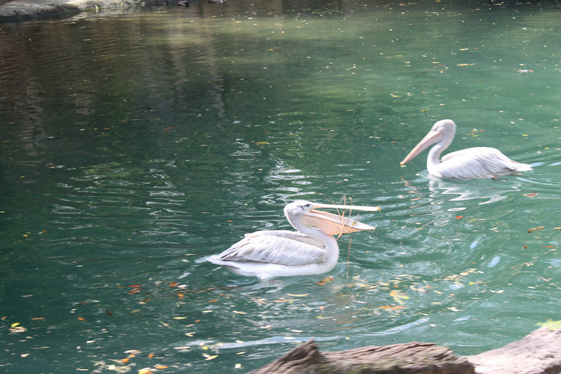 1210966564_Eb6XR-L.jpg