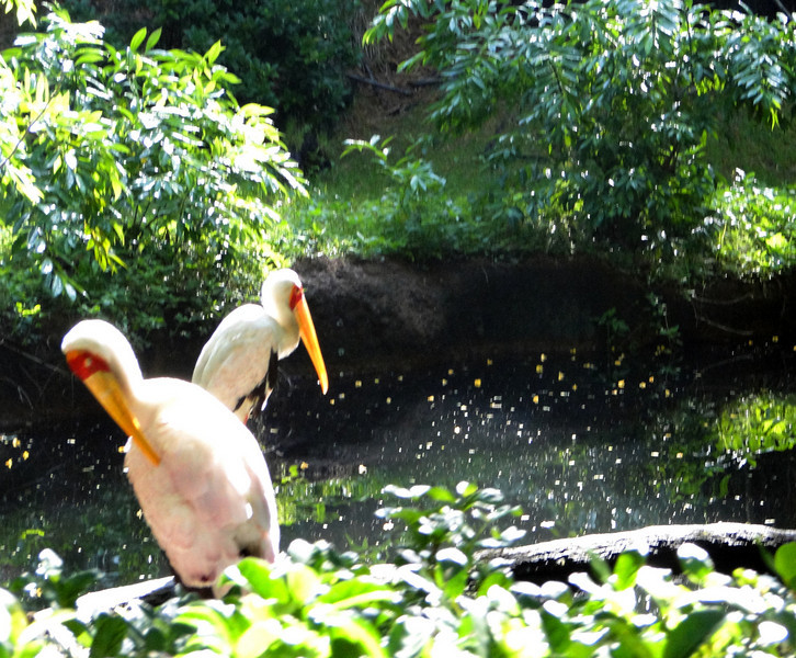 1065301240_UugrC-L.jpg