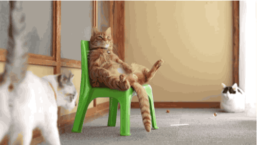chillin.gif