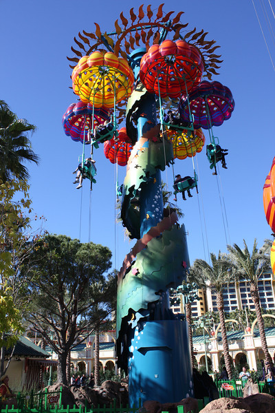 IMG9872-L.jpg