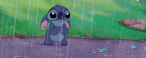 gif8.gif