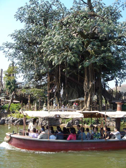 hkdl106.jpg