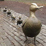 t-ducks-boston.jpg