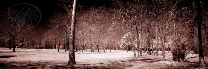 wharton_ir_pano_small.jpg