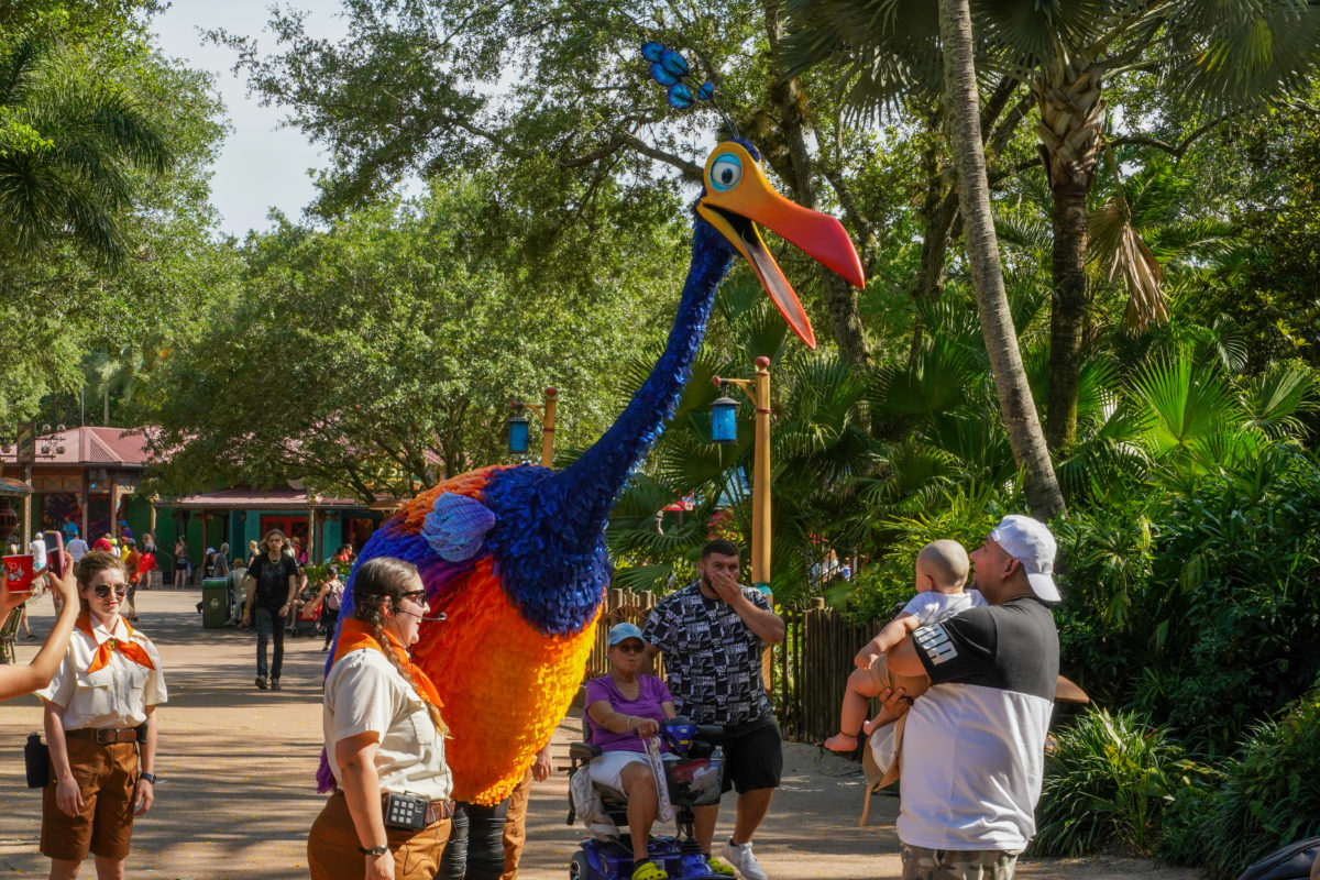 kevin-animal-kingdom-5217-1200x800.jpg