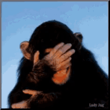 Laughing Muttley GIF - Laughing Muttley Laugh - Discover & Share ...