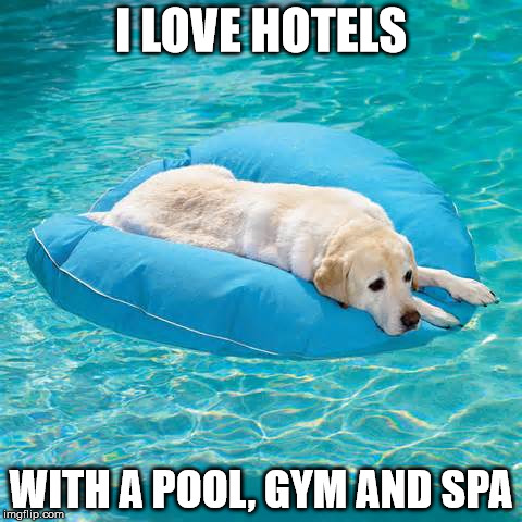 Image result for LAZY POOL DAY MEME