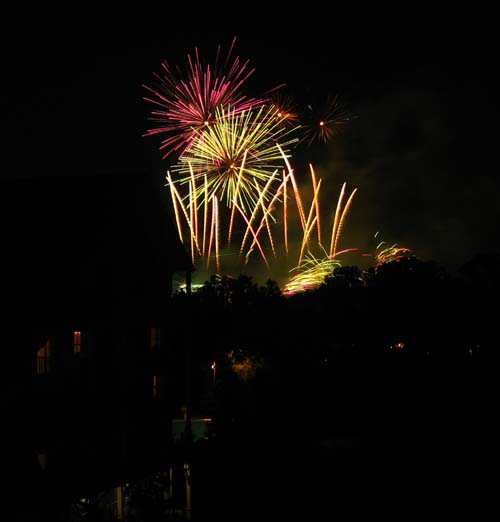 day7-6.jpg