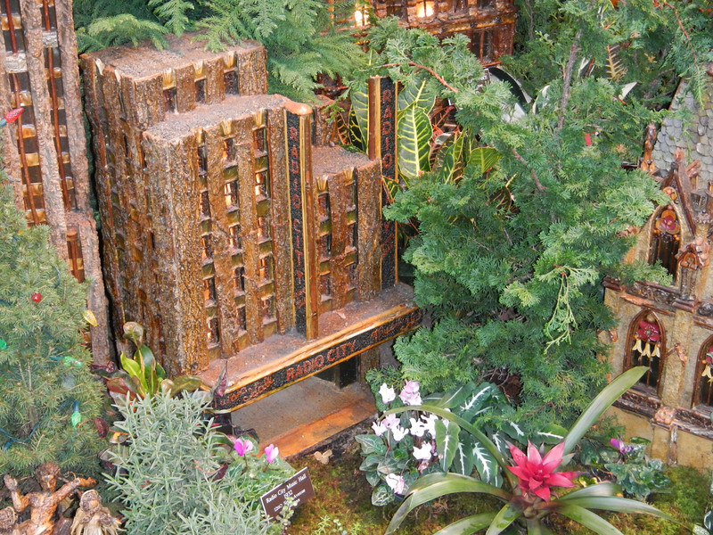 DSCN9550-L.jpg