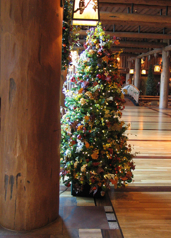 IMG7291-XL.jpg