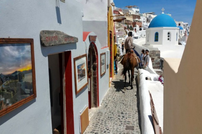 Santorini donkey