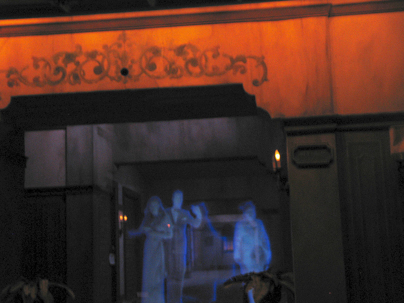 IMG8653ped-L.jpg