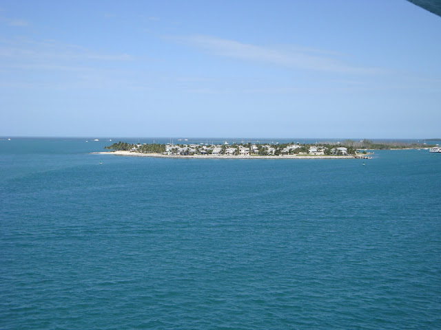 DSC00314.jpg