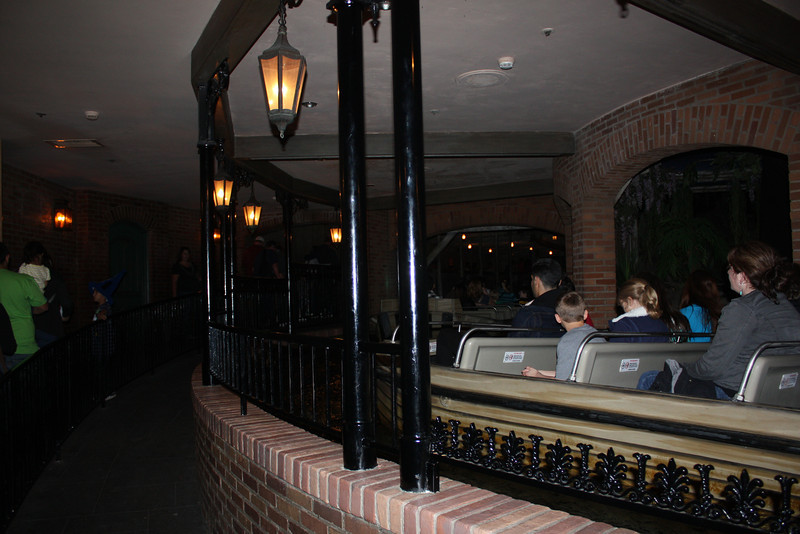 IMG9511-L.jpg