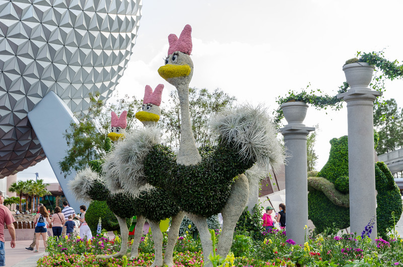 DSC1422-L.jpg