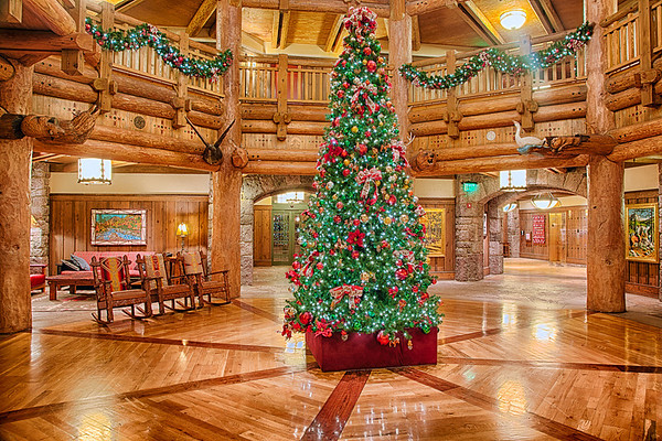 8W9C1466_HDR-Edit-M.jpg