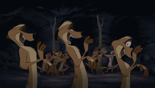 tumblr_ljnssrql3U1qfx455o1_500.gif