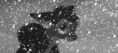 tumblr_le1upkzNh61qco9bn.gif