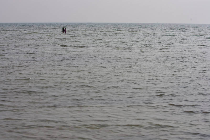 431619533_uFmkN-L.jpg