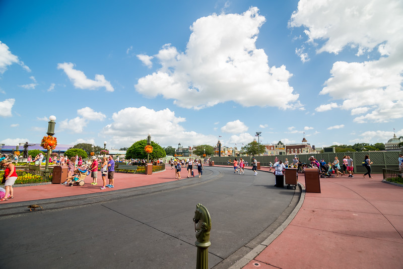DSC_0584-L.jpg