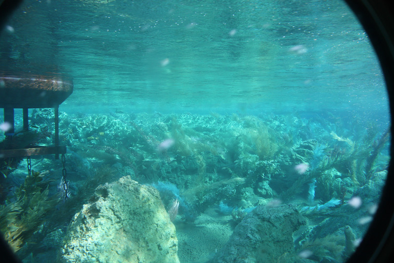 IMG9238-L.jpg