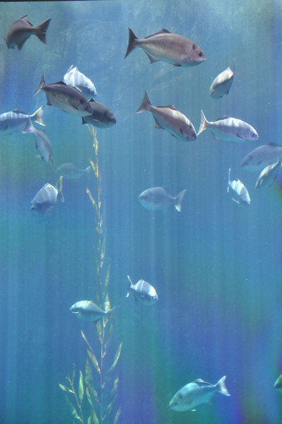 600366845_kxC3B-L.jpg
