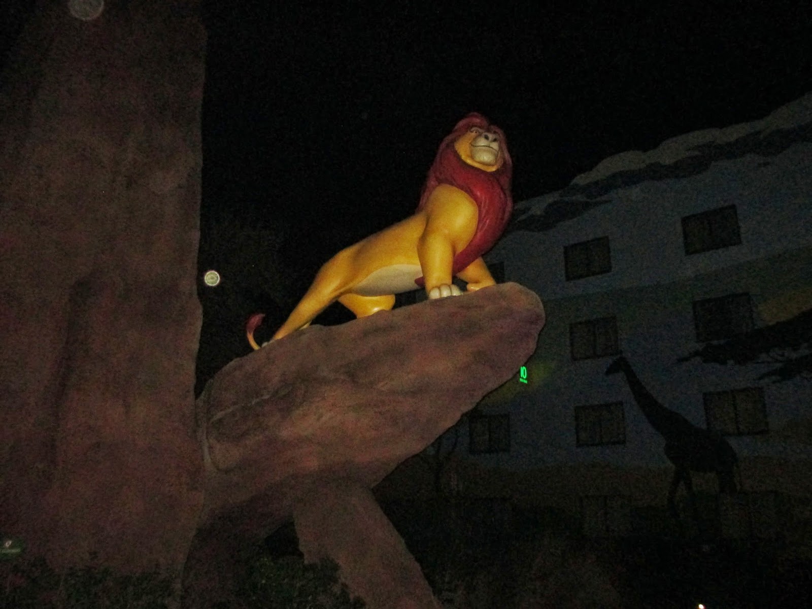 440.JPG
