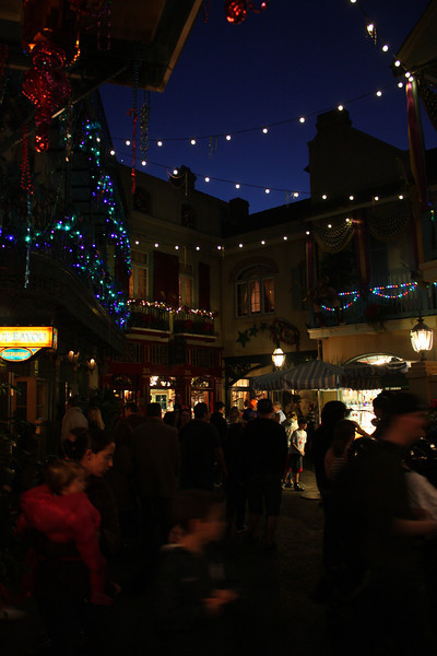 IMG9549-L.jpg