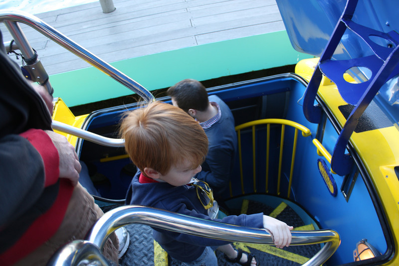 IMG9231-L.jpg