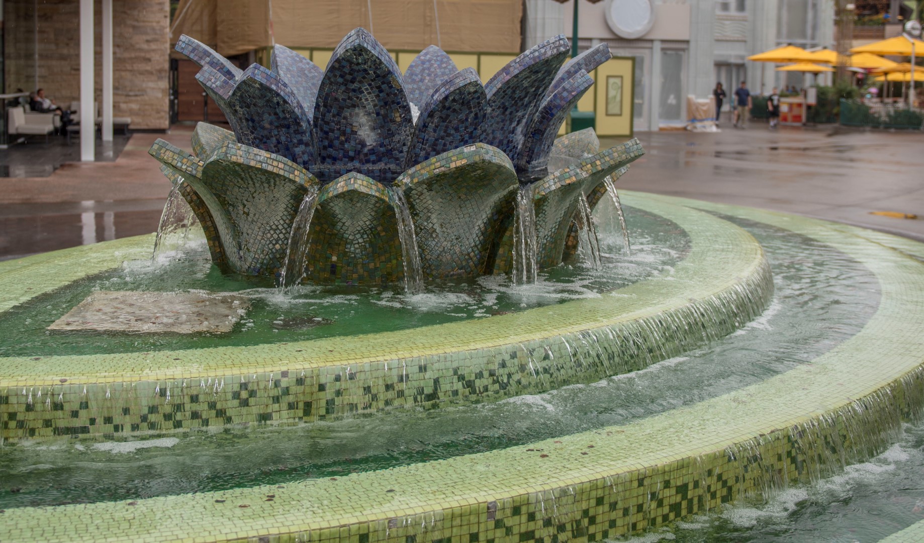 DSC_1503%20(Large).jpg