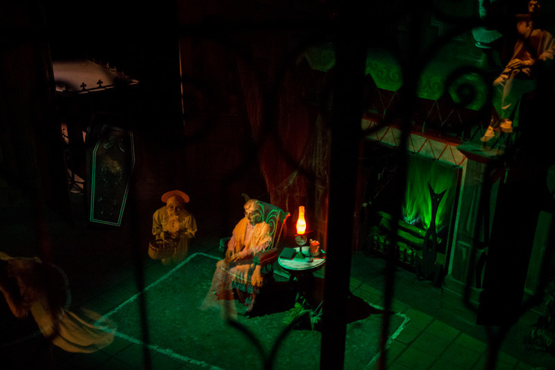 DSC_2515-L.jpg