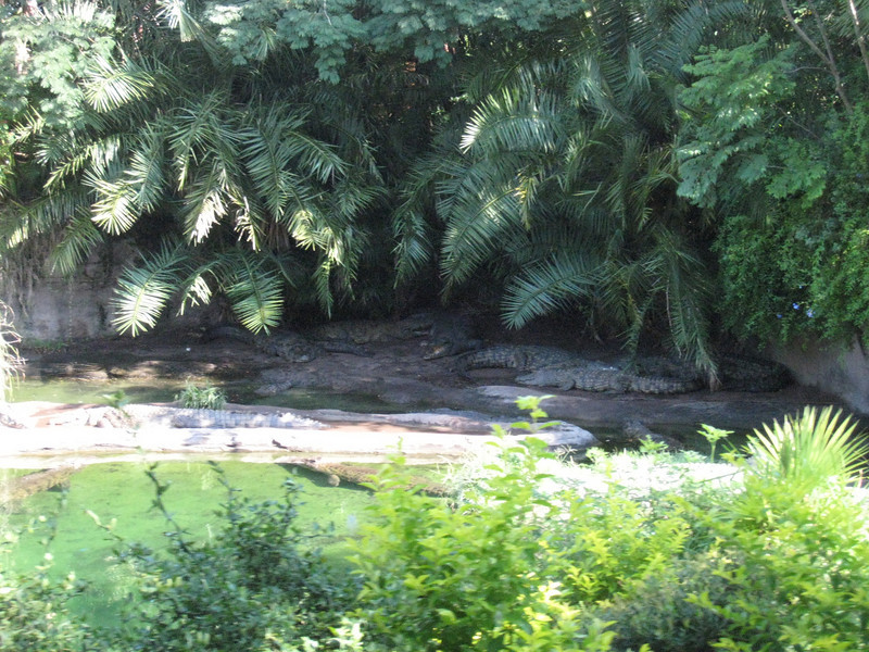 322078988_VGHGU-L.jpg
