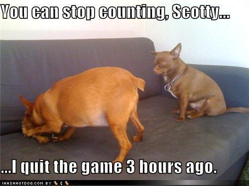 Cute-and-Funny-dogs-14909500-500-375.jpg